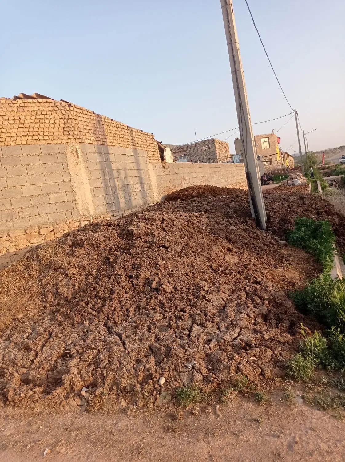 کودگاوی|خدمات باغبانی و درختکاری|بجنورد, |دیوار