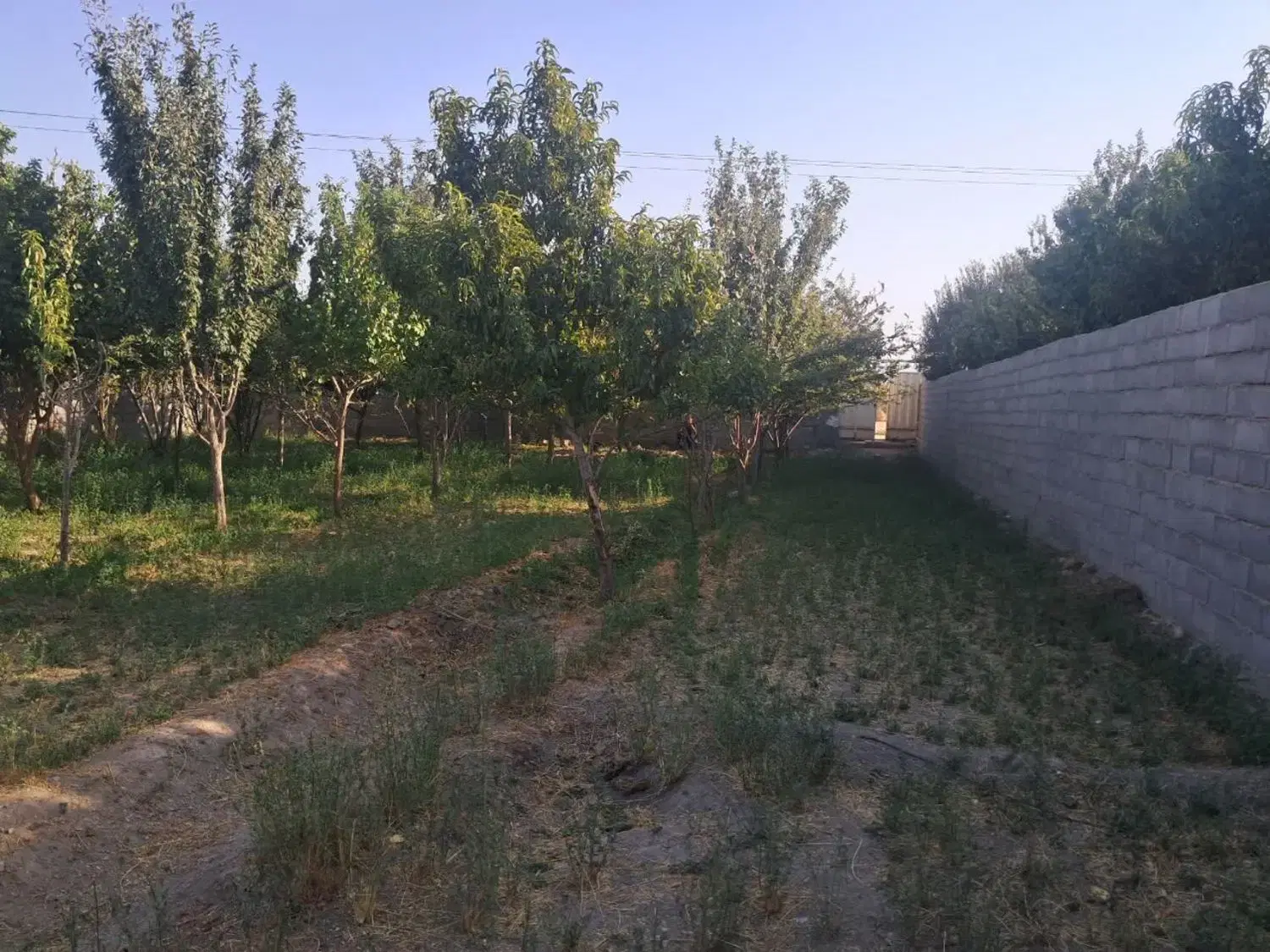 باغ ۸۰۰متری در اصفهان - Widok 6