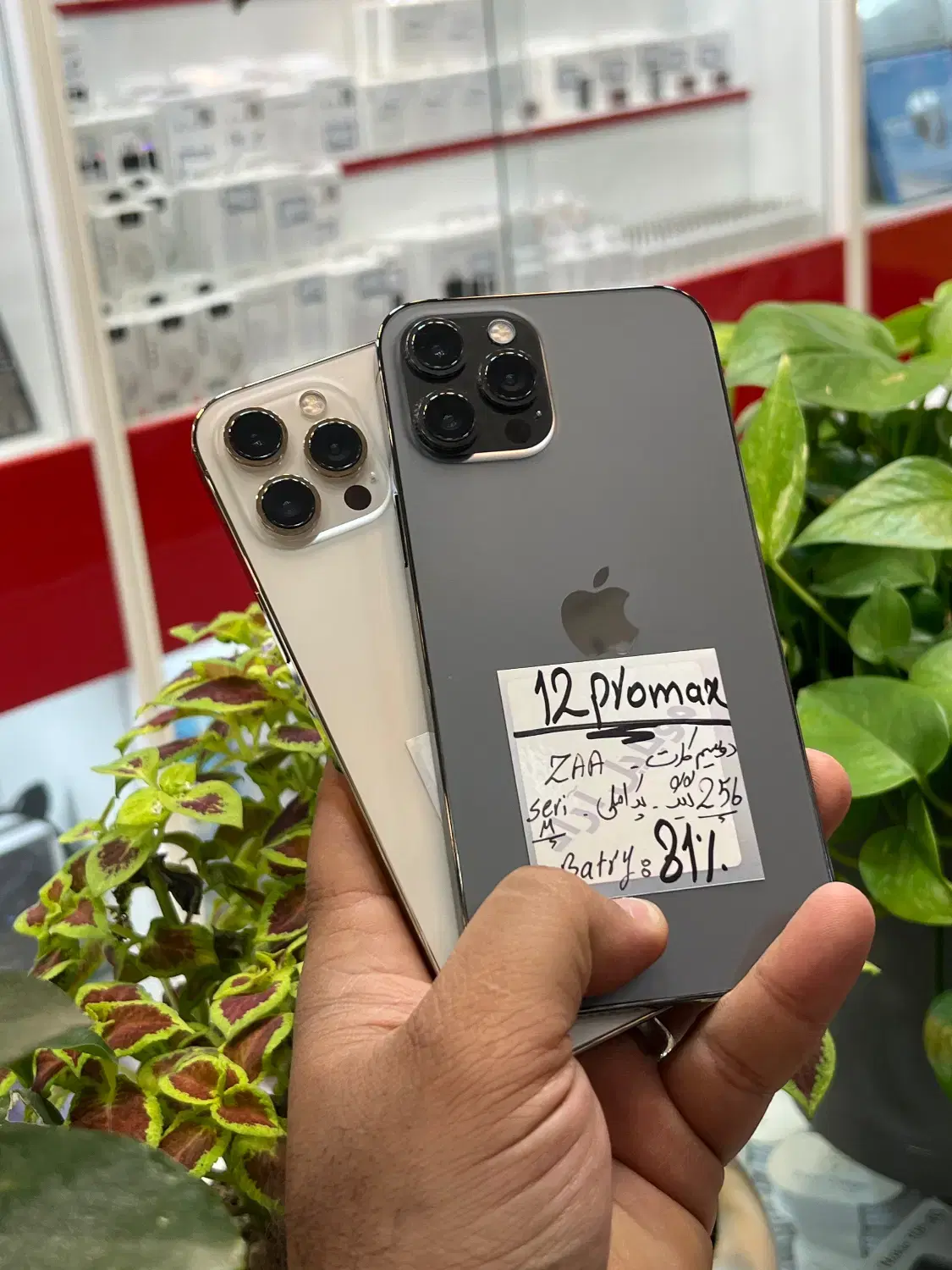 iPhone 12 promax|موبایل|شیراز, زند|دیوار