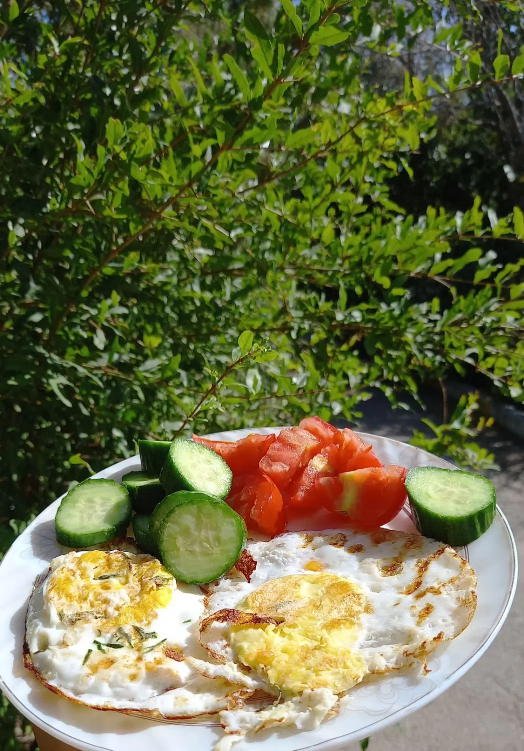 لاغری|خوردنی و آشامیدنی|شیراز, وصال|دیوار
