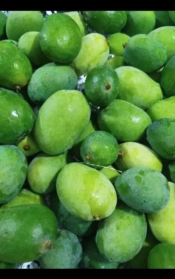انبه|خوردنی و آشامیدنی|میناب, |دیوار