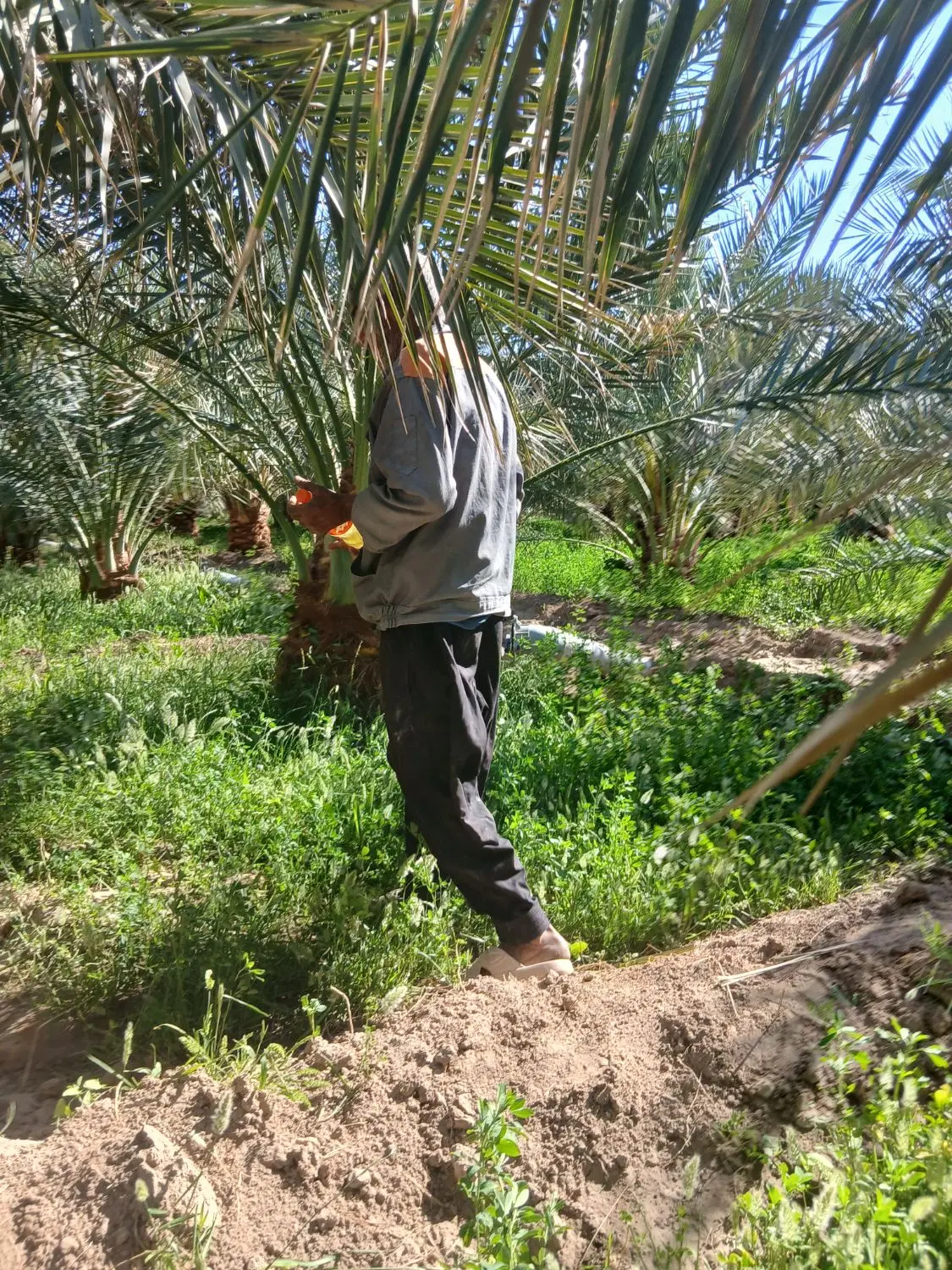 سلام|خدمات حمل و نقل|نرماشیر, |دیوار