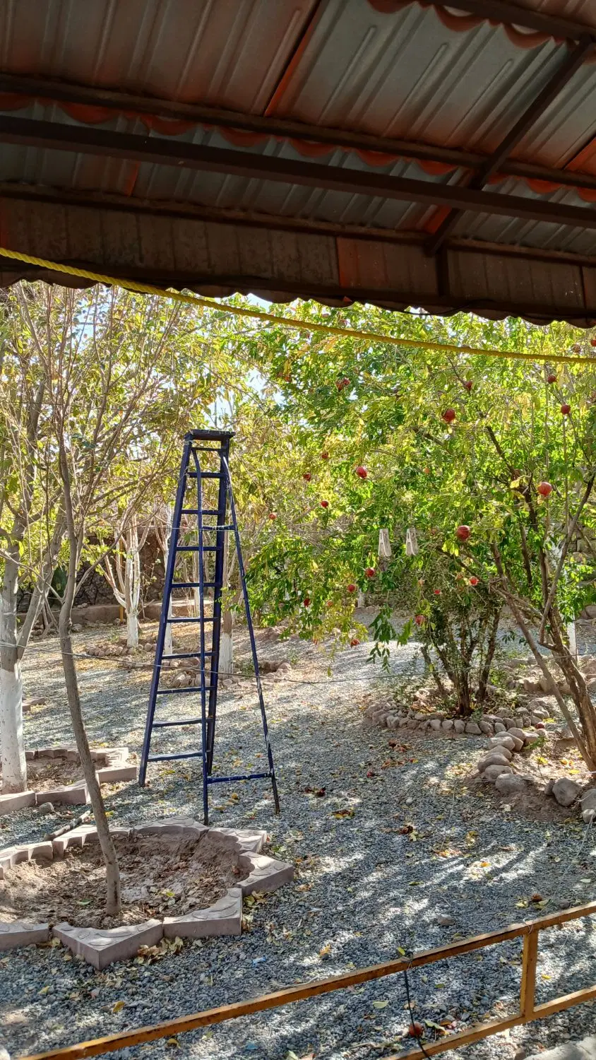 تصویر 18