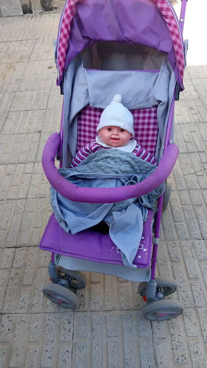 کریر|کالسکه و لوازم جانبی|ایلام, |دیوار