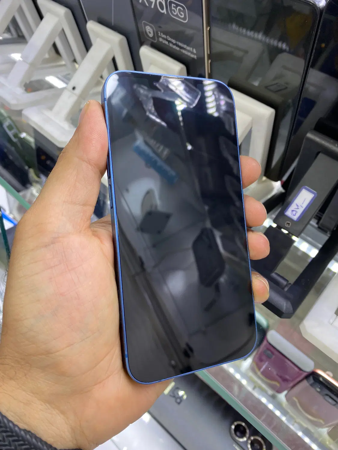 Iphone 13|موبایل|شیراز, ملاصدرا|دیوار
