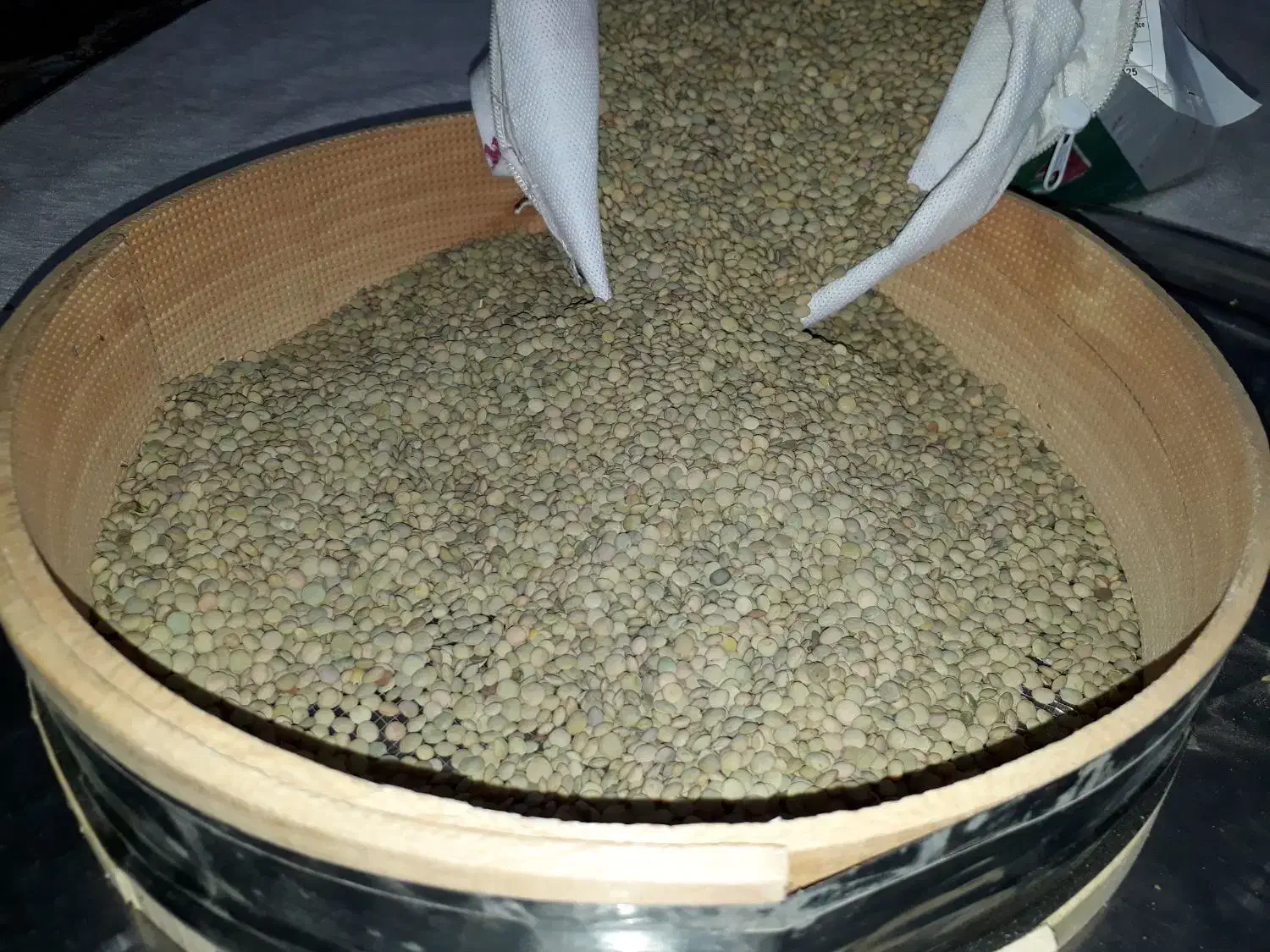 عدس تازه|خوردنی و آشامیدنی|باغستان, |دیوار