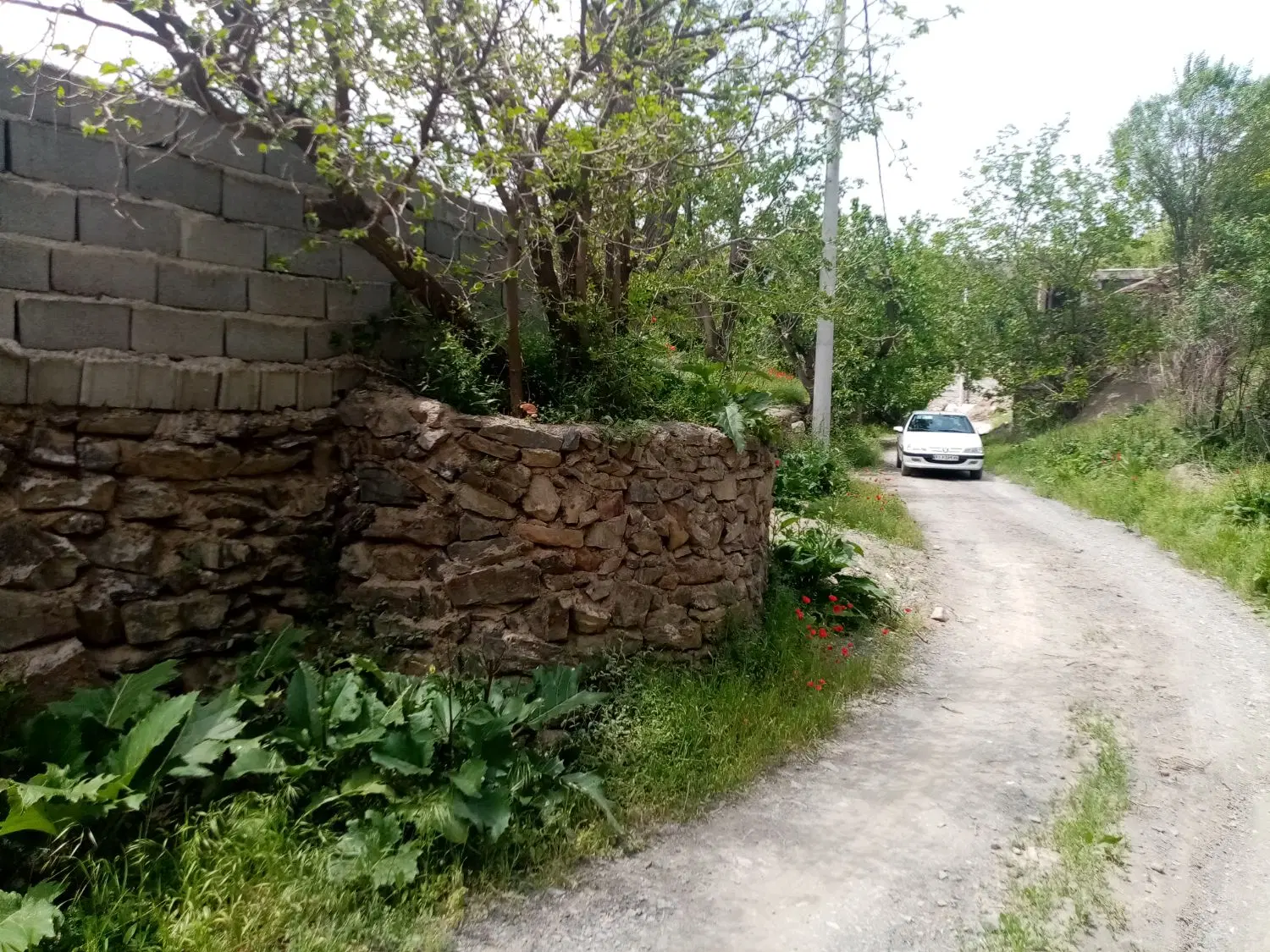 تصویر 6