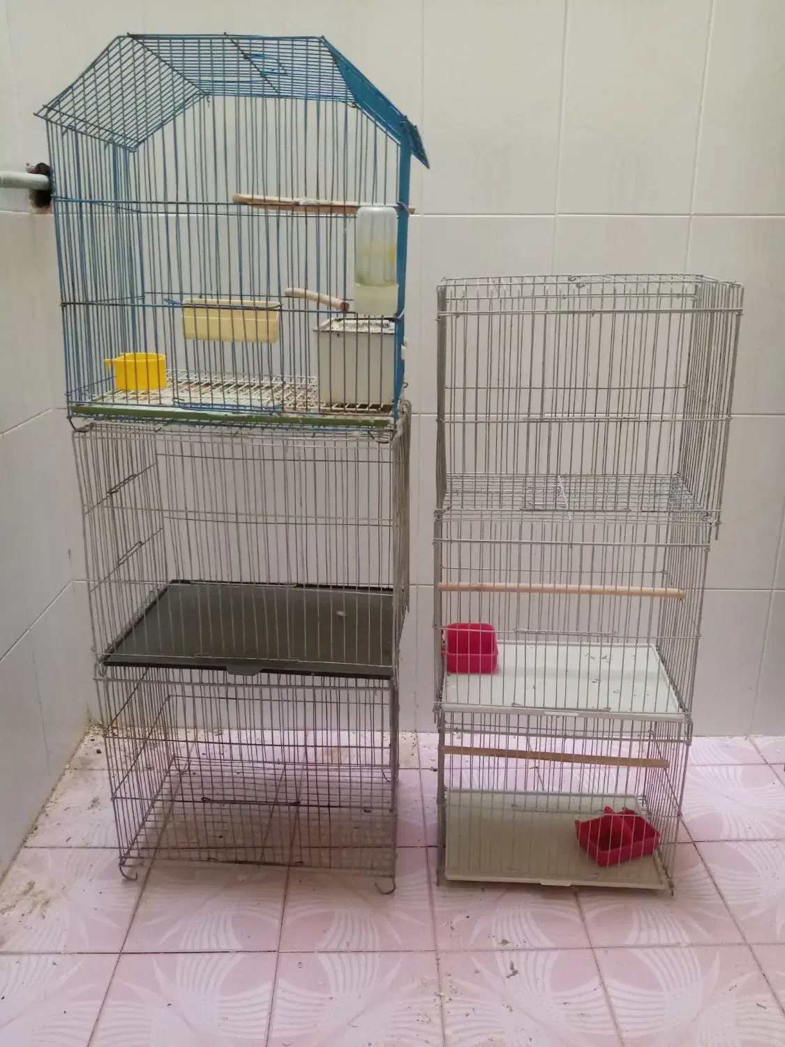 قفس|لوازم جانبی حیوانات|بوشهر, |دیوار