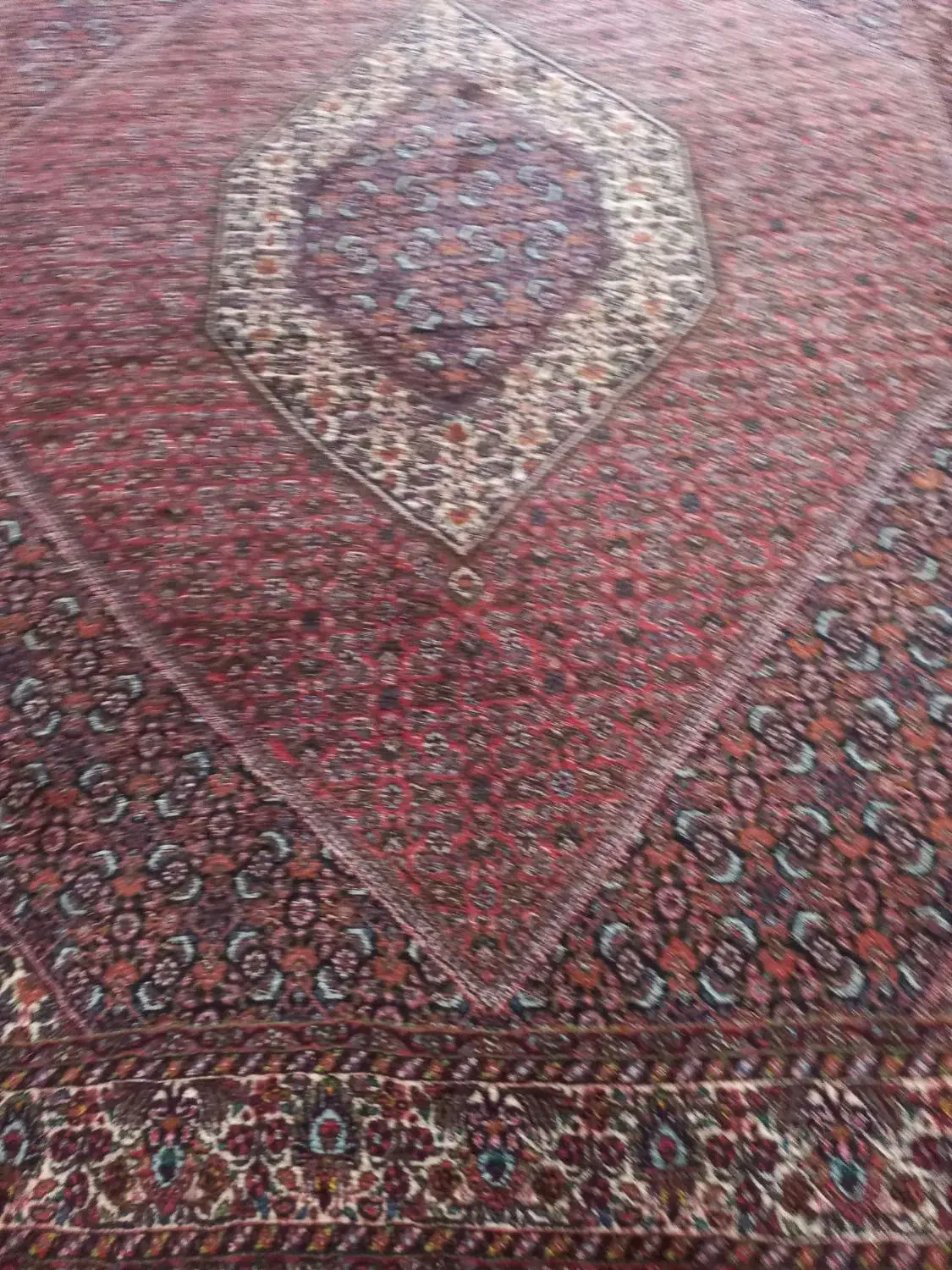 فرش|فرش|سنندج, |دیوار