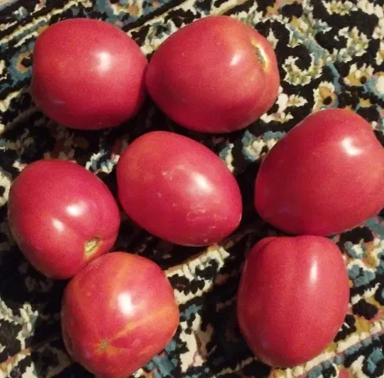 گوجه|خوردنی و آشامیدنی|گلوگاه, |دیوار