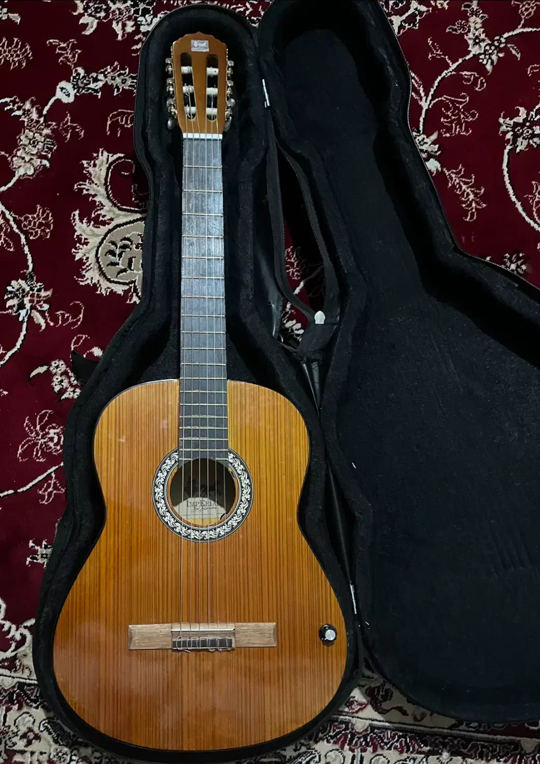 گیتار|گیتار، بیس، امپلیفایر|مشهد, بهشت|دیوار