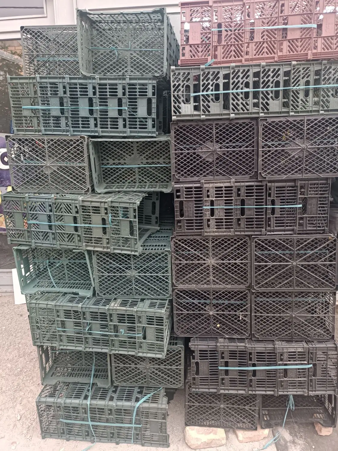 سبد|ظروف نگهدارنده، پلاستیکی، یکبارمصرف|مشگین شهر, |دیوار