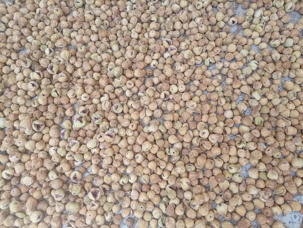 انجیر|خوردنی و آشامیدنی|فسا, |دیوار