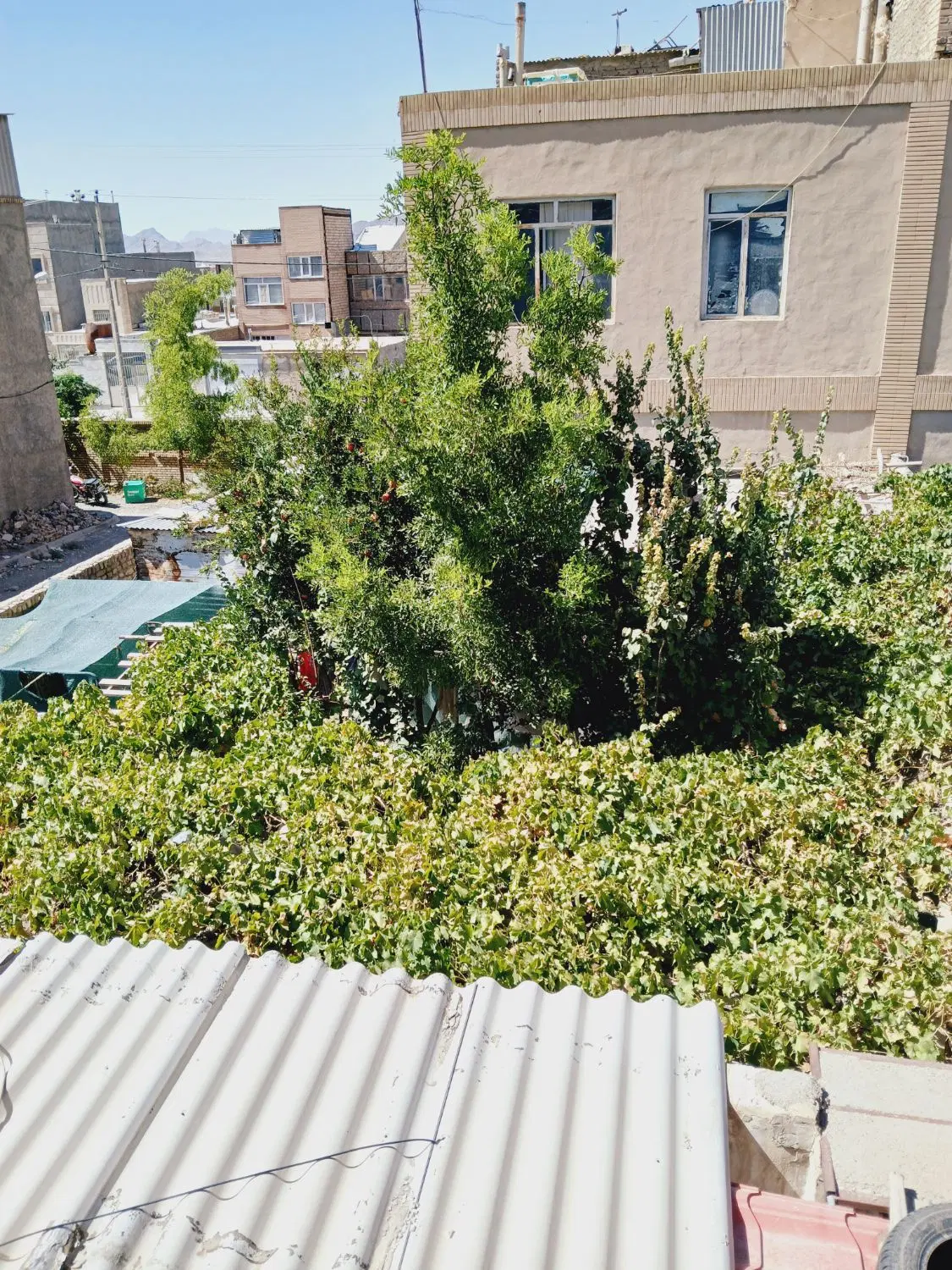 تصویر 18