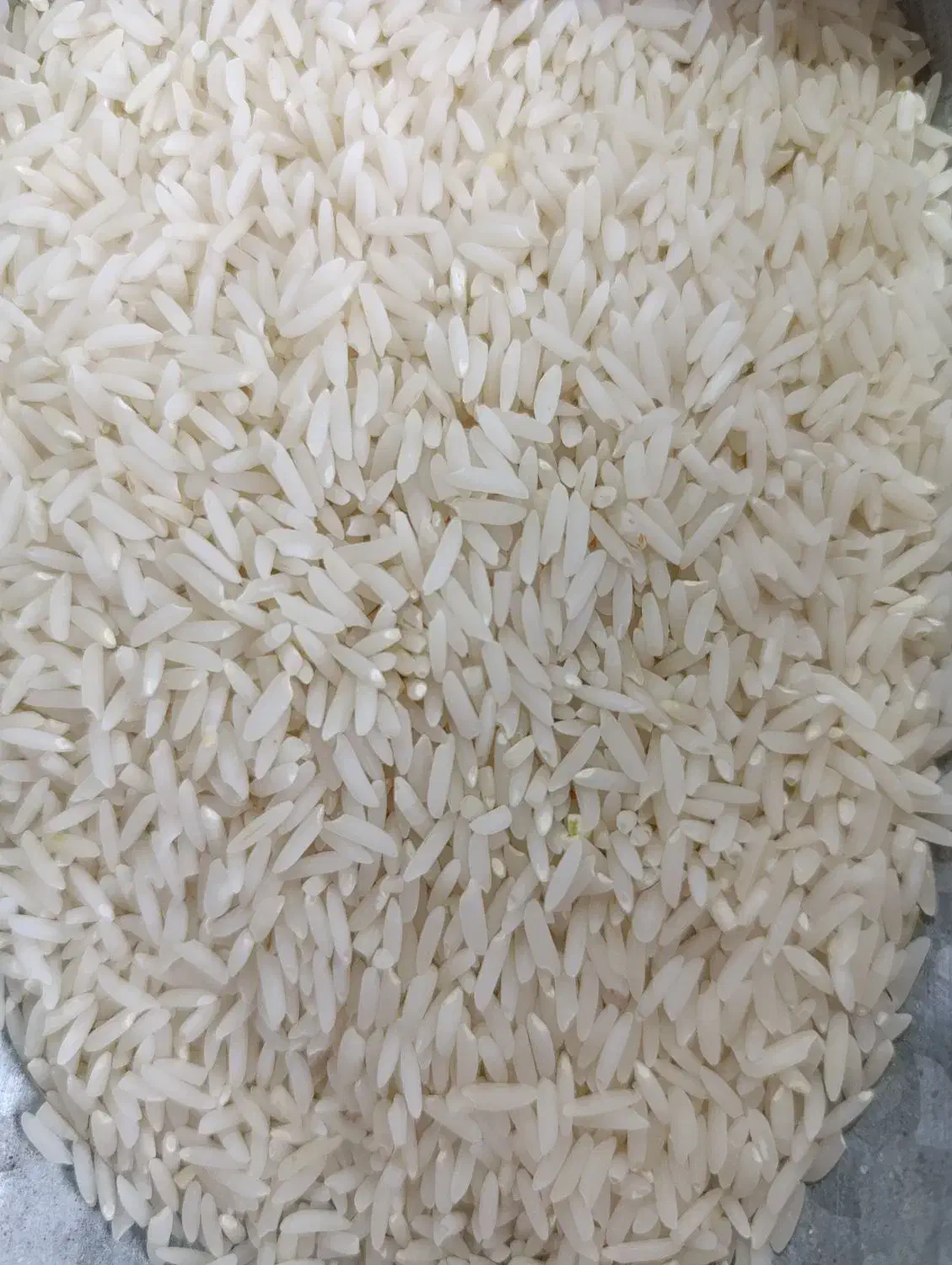 برنج|خوردنی و آشامیدنی|الموت, |دیوار