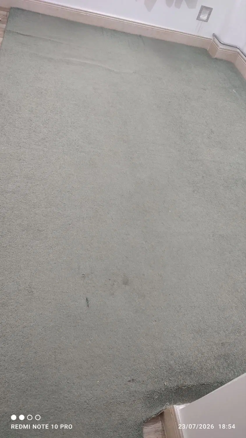 موکت|موکت|شاهرود (اردبیل), |دیوار