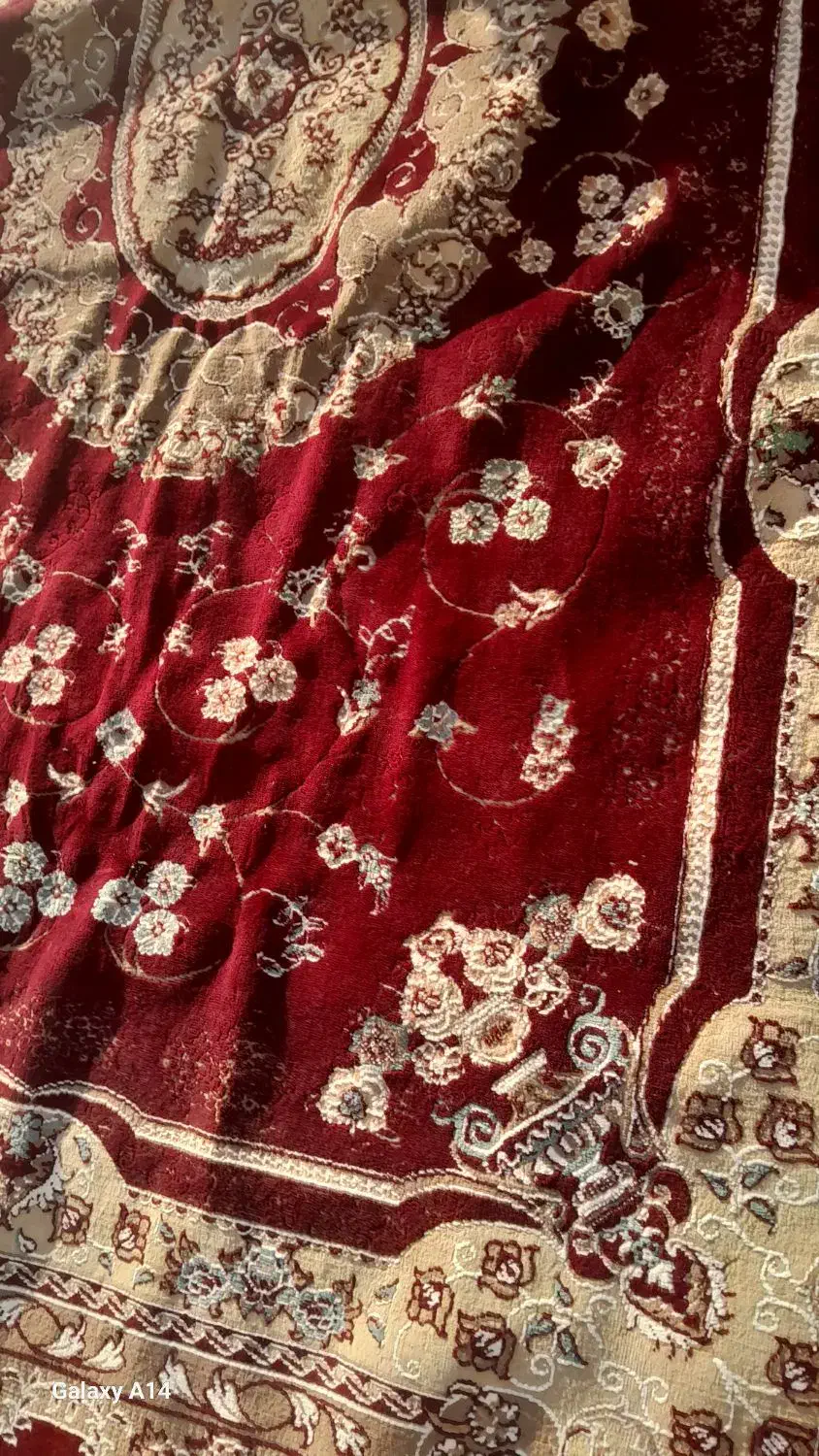 فرش|فرش|رشت, عینک|دیوار