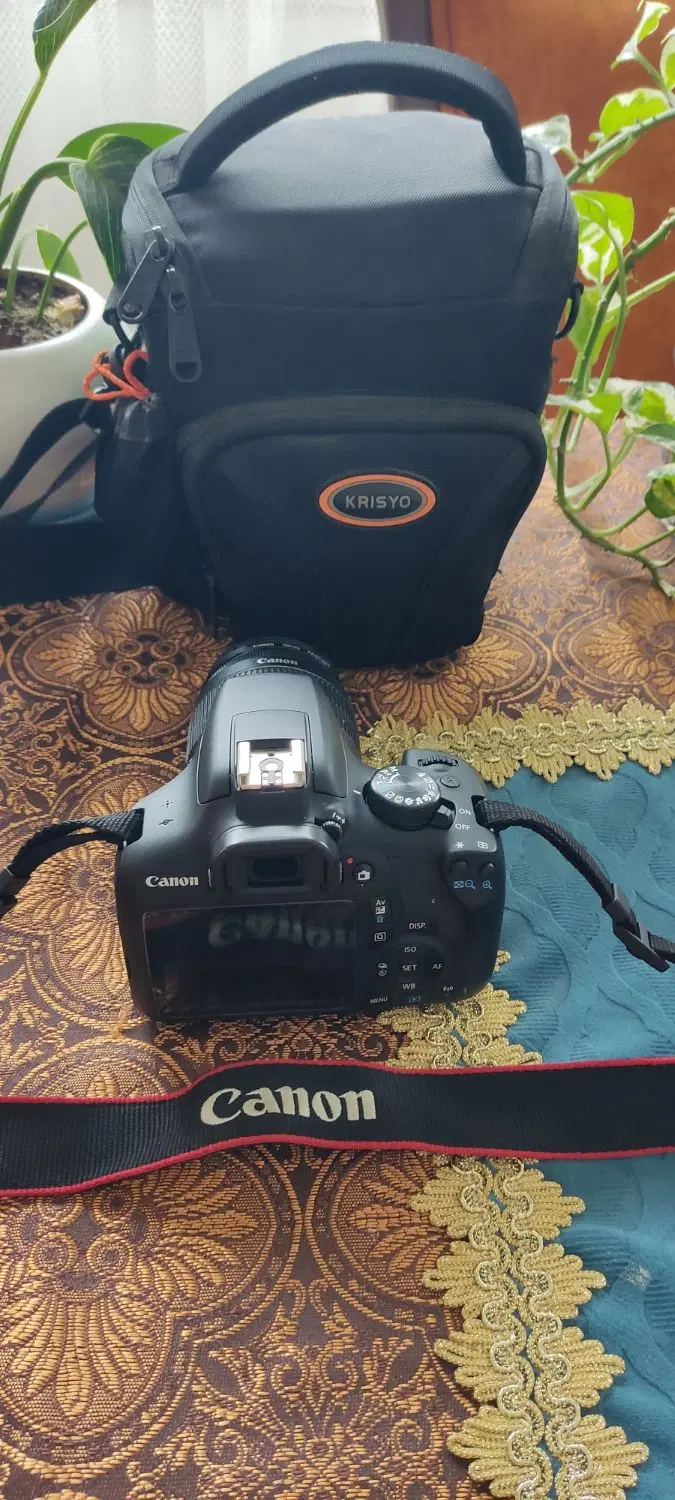 Canon 1300D|دوربین عکاسی و فیلمبرداری|قائمشهر, |دیوار
