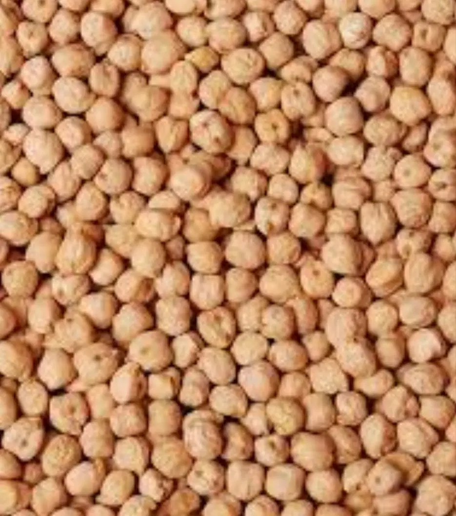نخد درشت|خوردنی و آشامیدنی|قروه, |دیوار