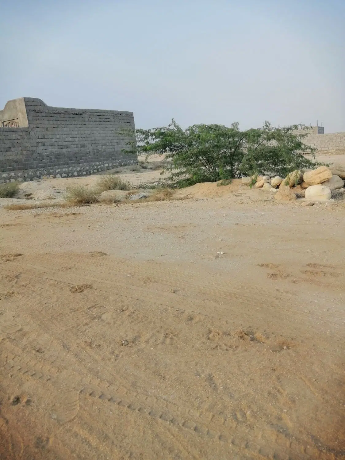 تصویر 2