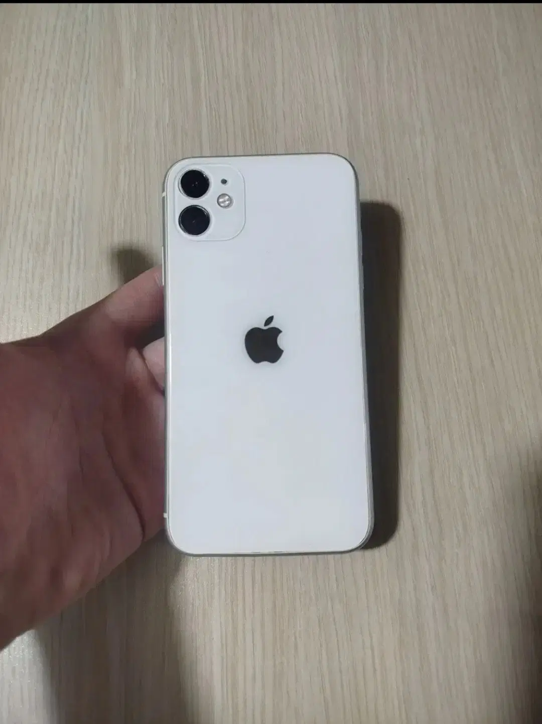 iPhone 11 سفید|موبایل|شهرضا, |دیوار