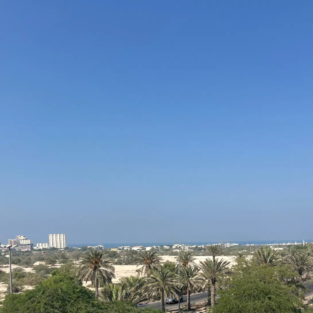 تصویر 8