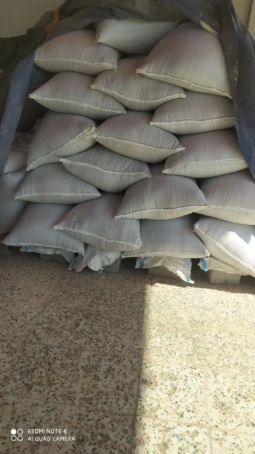 ماش ارتشی|خوردنی و آشامیدنی|گتوند, |دیوار