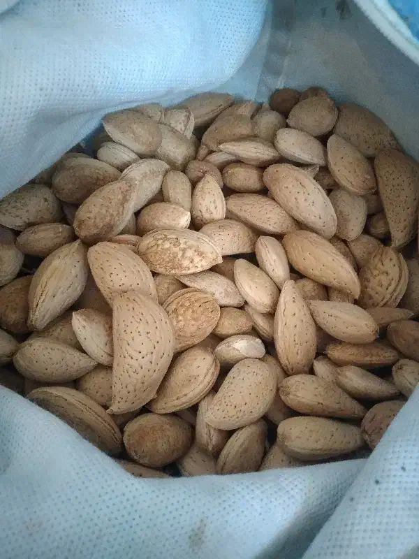 بادم درختی|خوردنی و آشامیدنی|سیلاخور, |دیوار