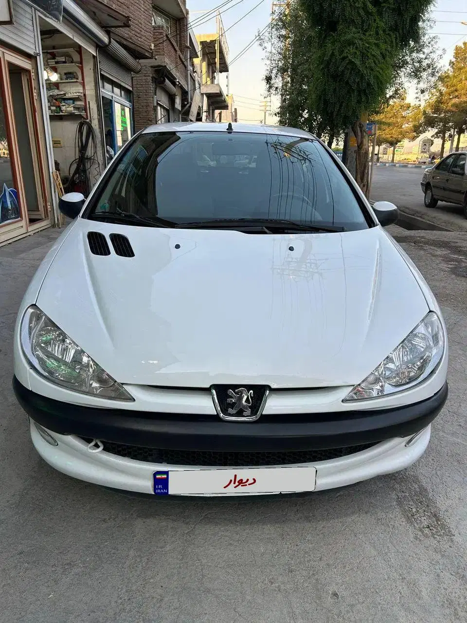 206 SD|خودرو سواری و وانت|بناب, |دیوار