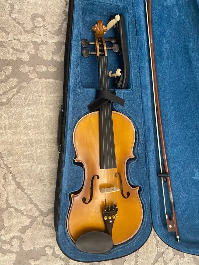 ویالون|ویولن|کرج, بنیاد|دیوار