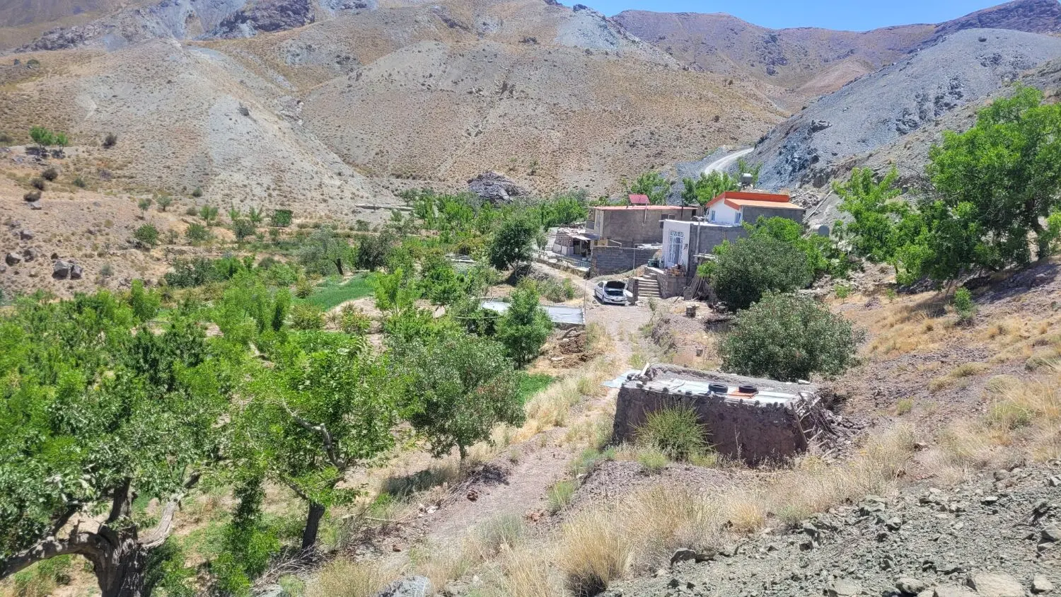 تصویر اصلی