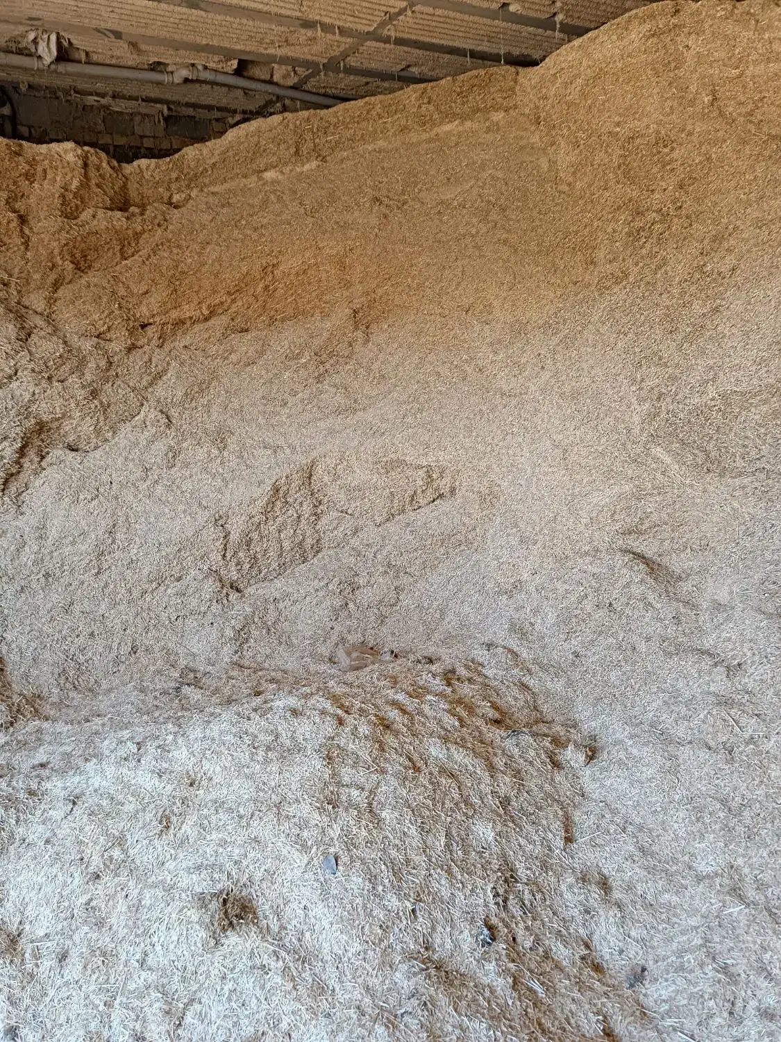 کاه دیم|لوازم جانبی حیوانات|الیگودرز, |دیوار