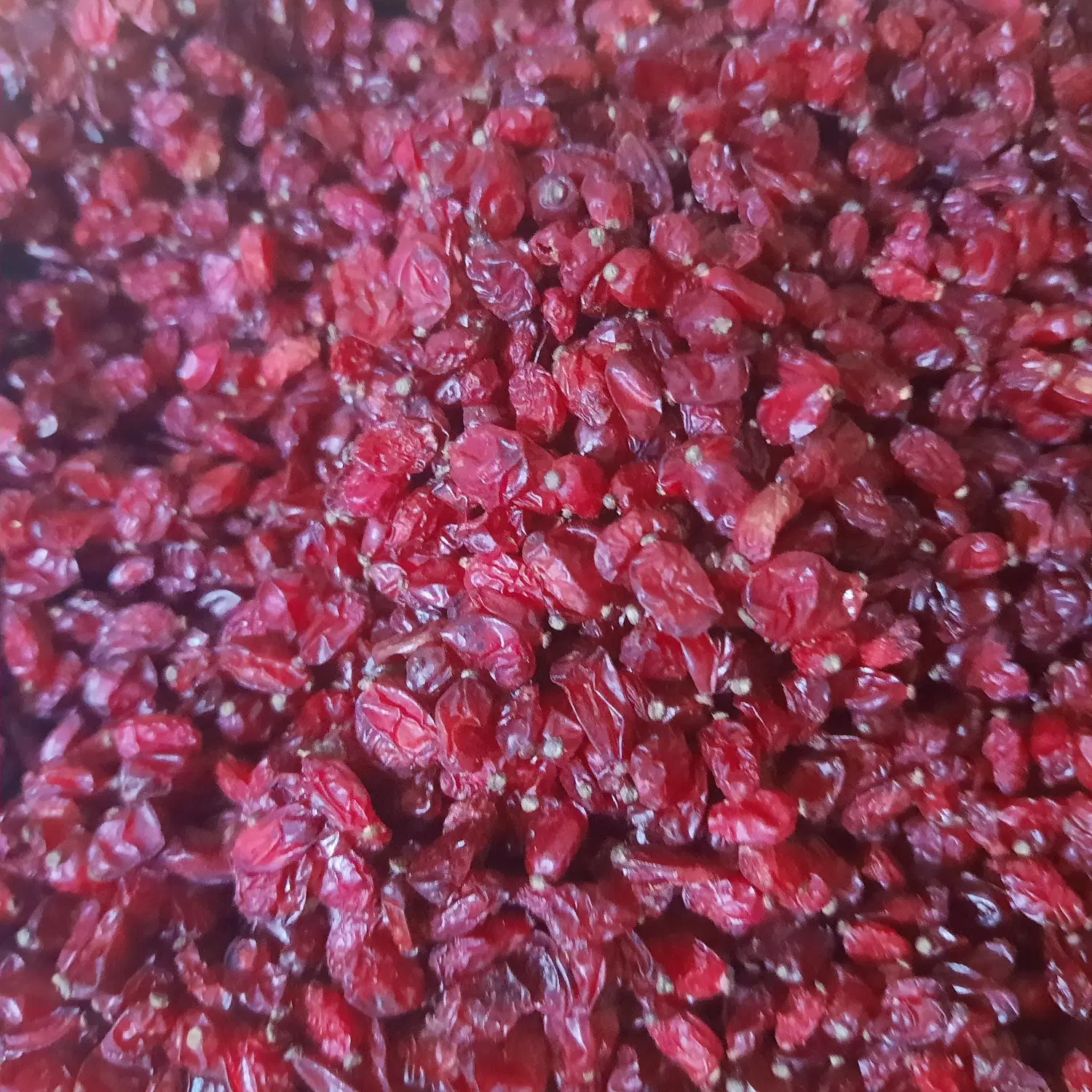 زرشک|خوردنی و آشامیدنی|کیش, |دیوار