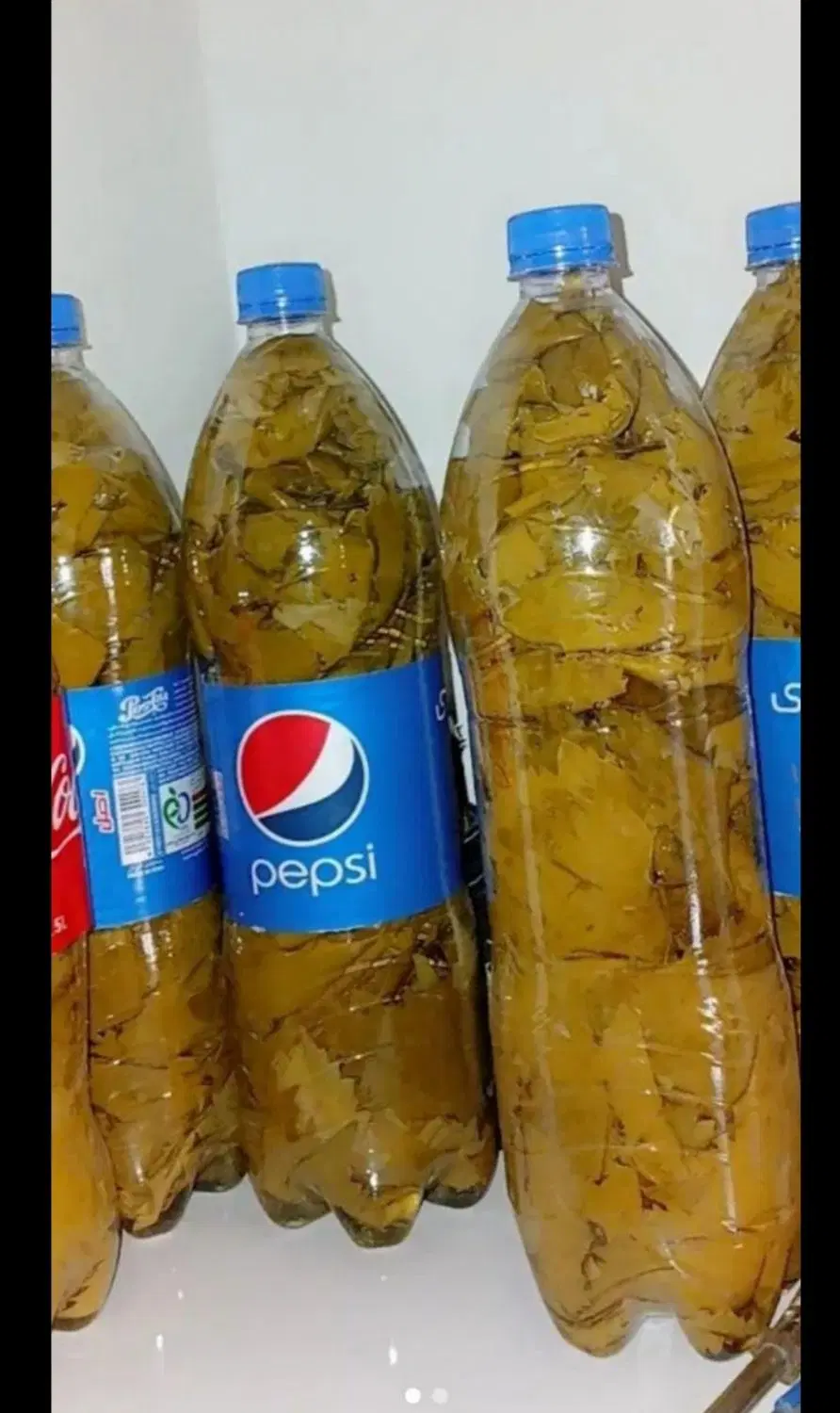 برگ مو|خوردنی و آشامیدنی|مشهد, نظام دوست|دیوار
