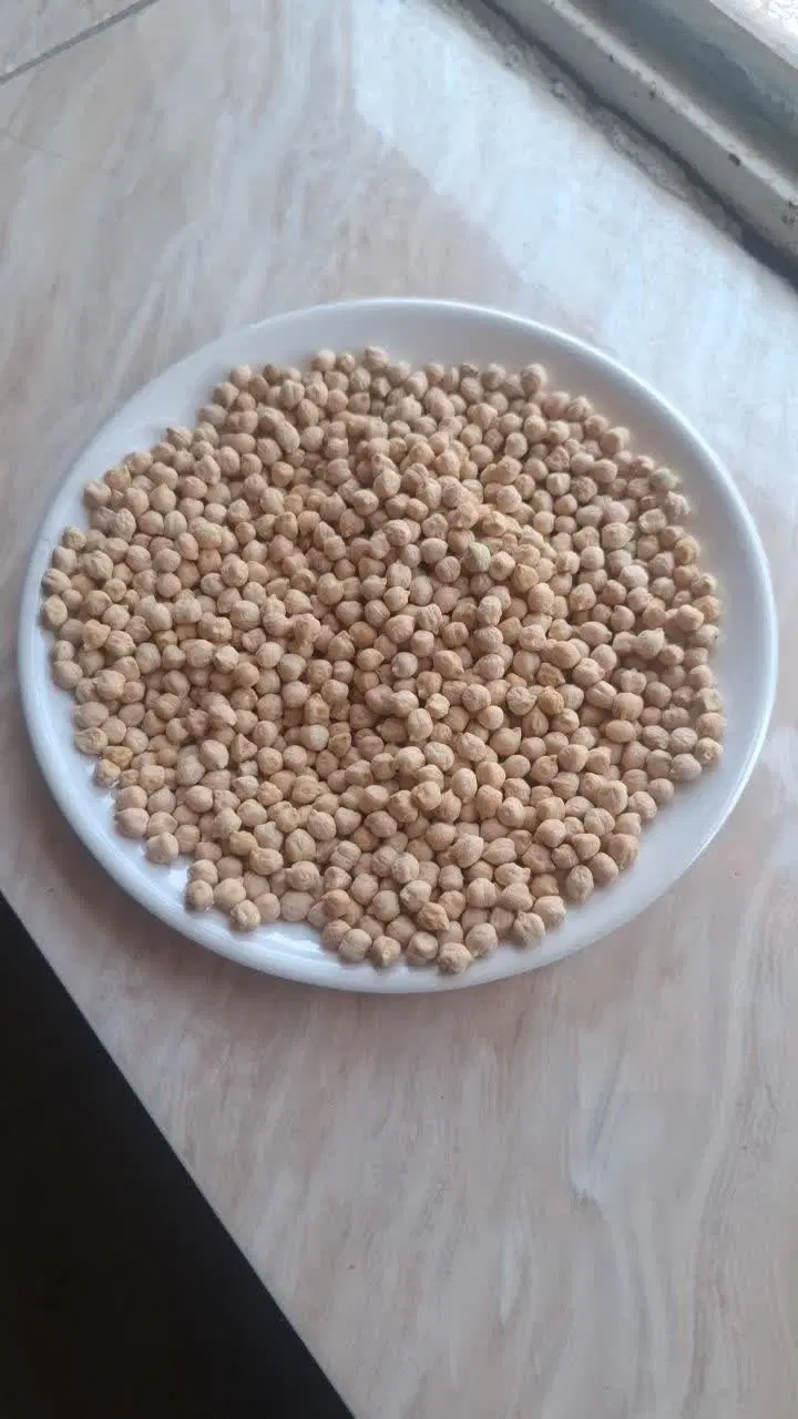 نخود|خوردنی و آشامیدنی|کوار, |دیوار