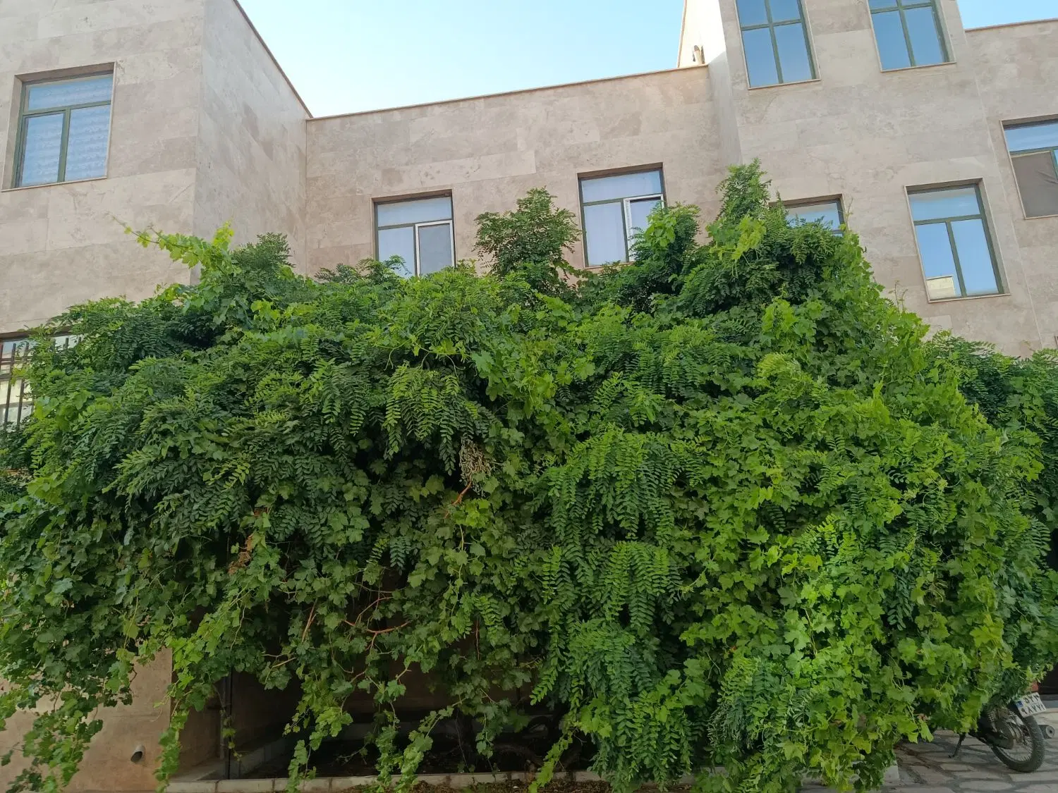 واحدآپارتمانی|فروش آپارتمان|محلات, |دیوار