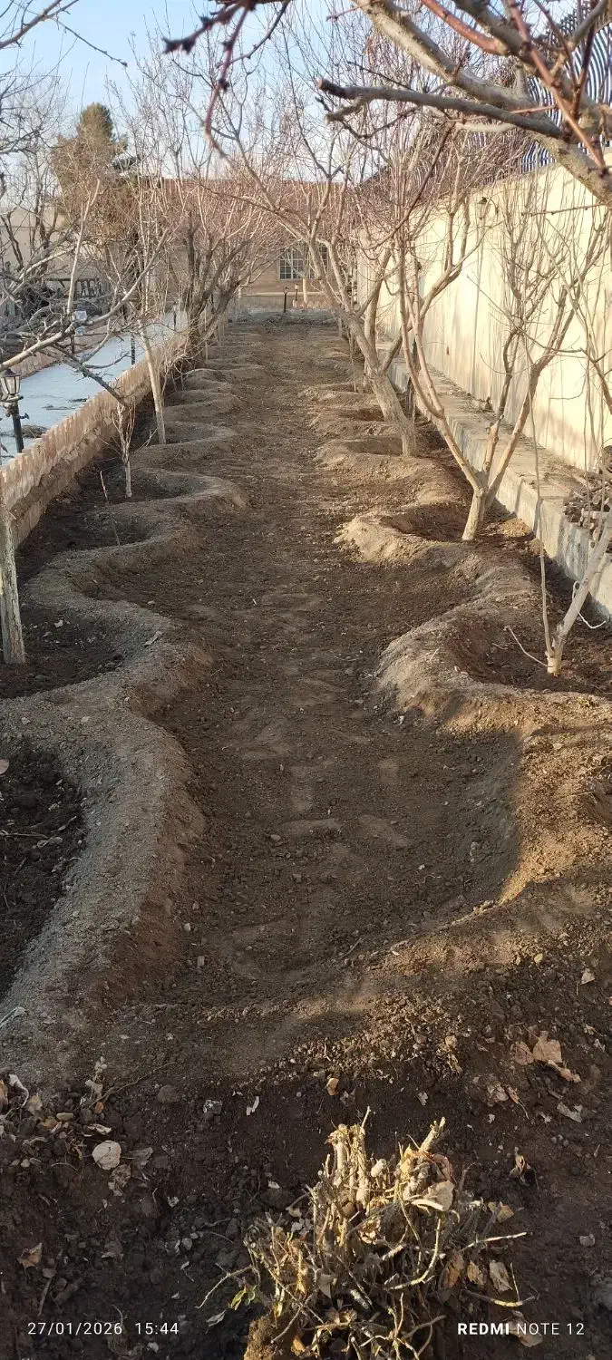 باغبونی|خدمات باغبانی و درختکاری|مشهد, کلاته برفی|دیوار