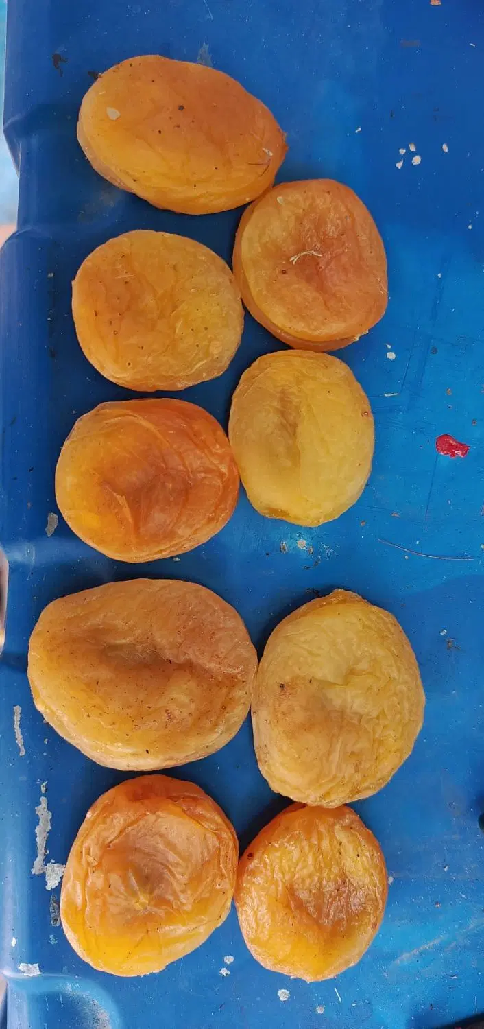 قیسی|خوردنی و آشامیدنی|کشکسرای, |دیوار
