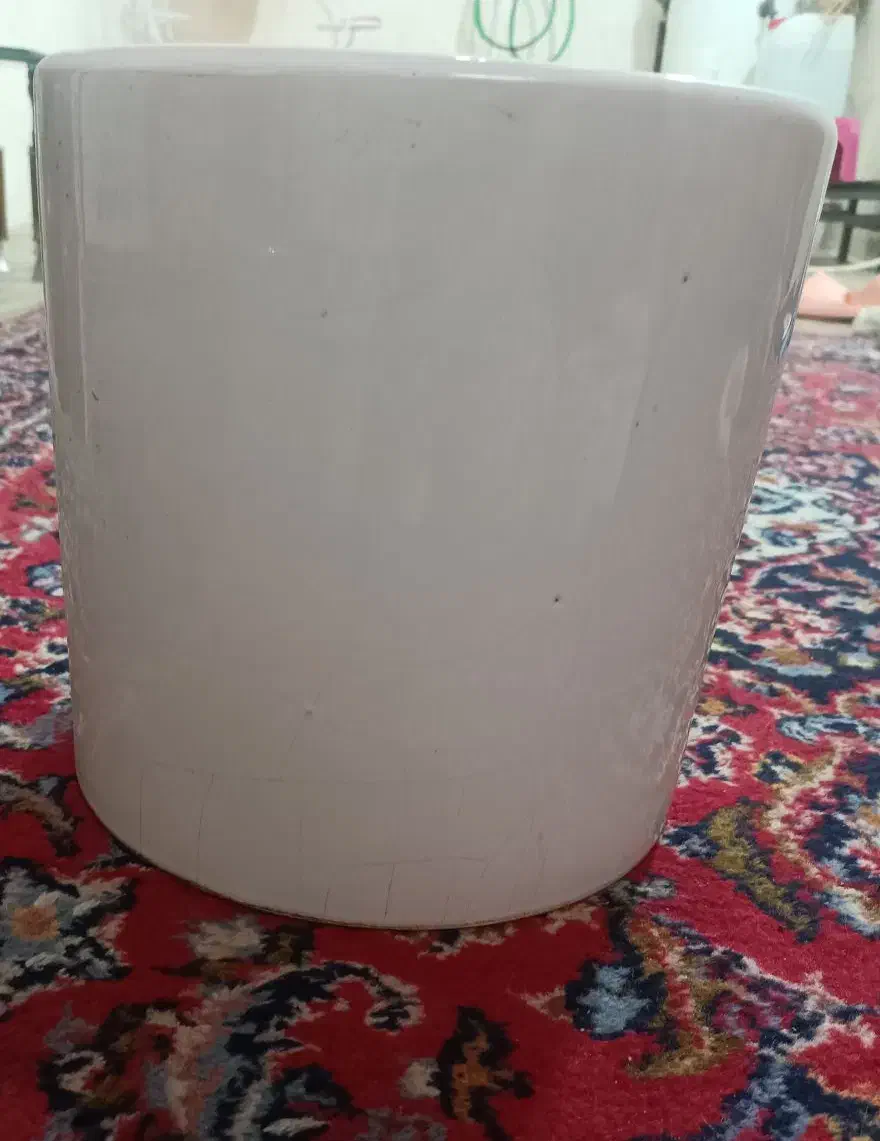 گلدان|گل و گیاه طبیعی|رفسنجان, |دیوار