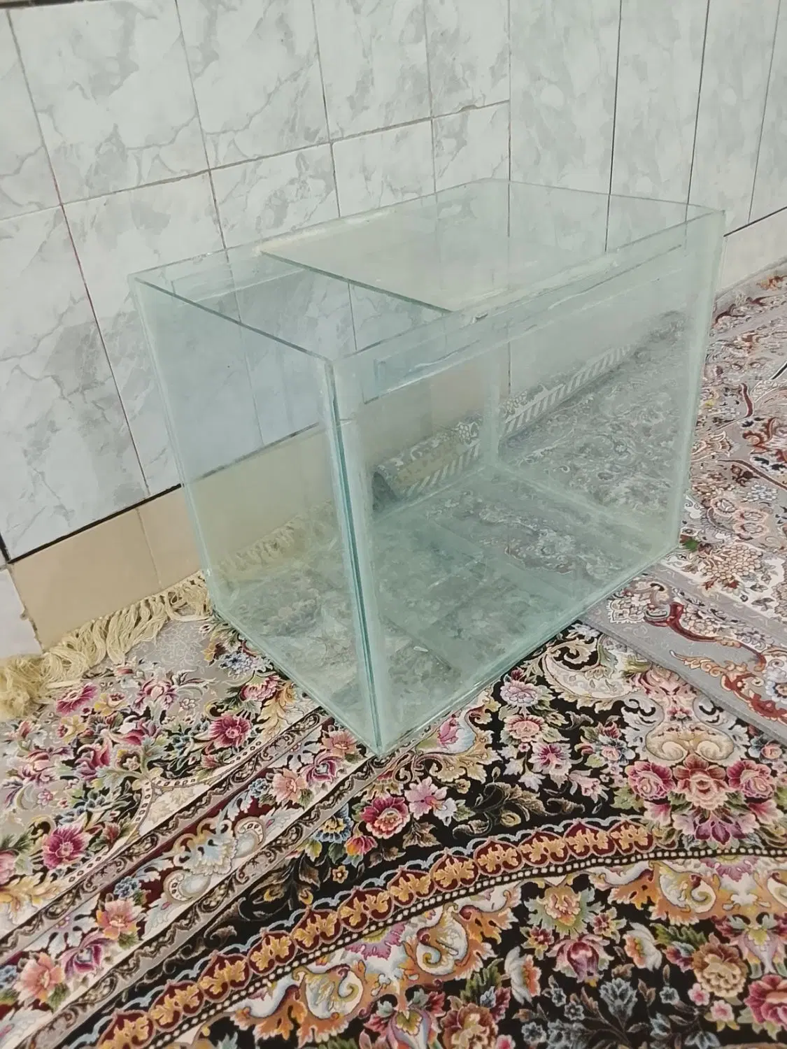 آکواریوم|ماهی|فارسان, |دیوار