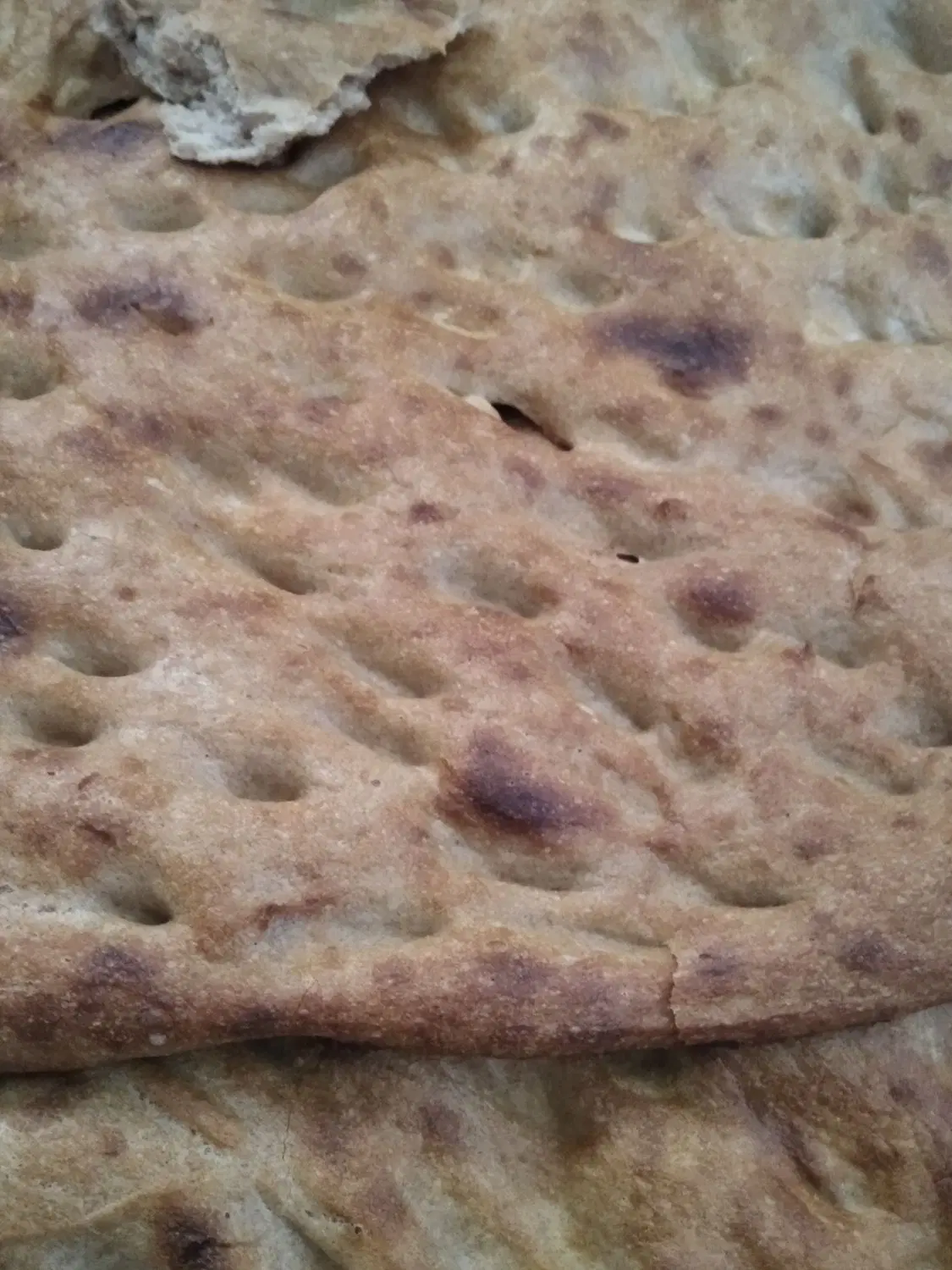 نان خشک|خوردنی و آشامیدنی|زابل, |دیوار