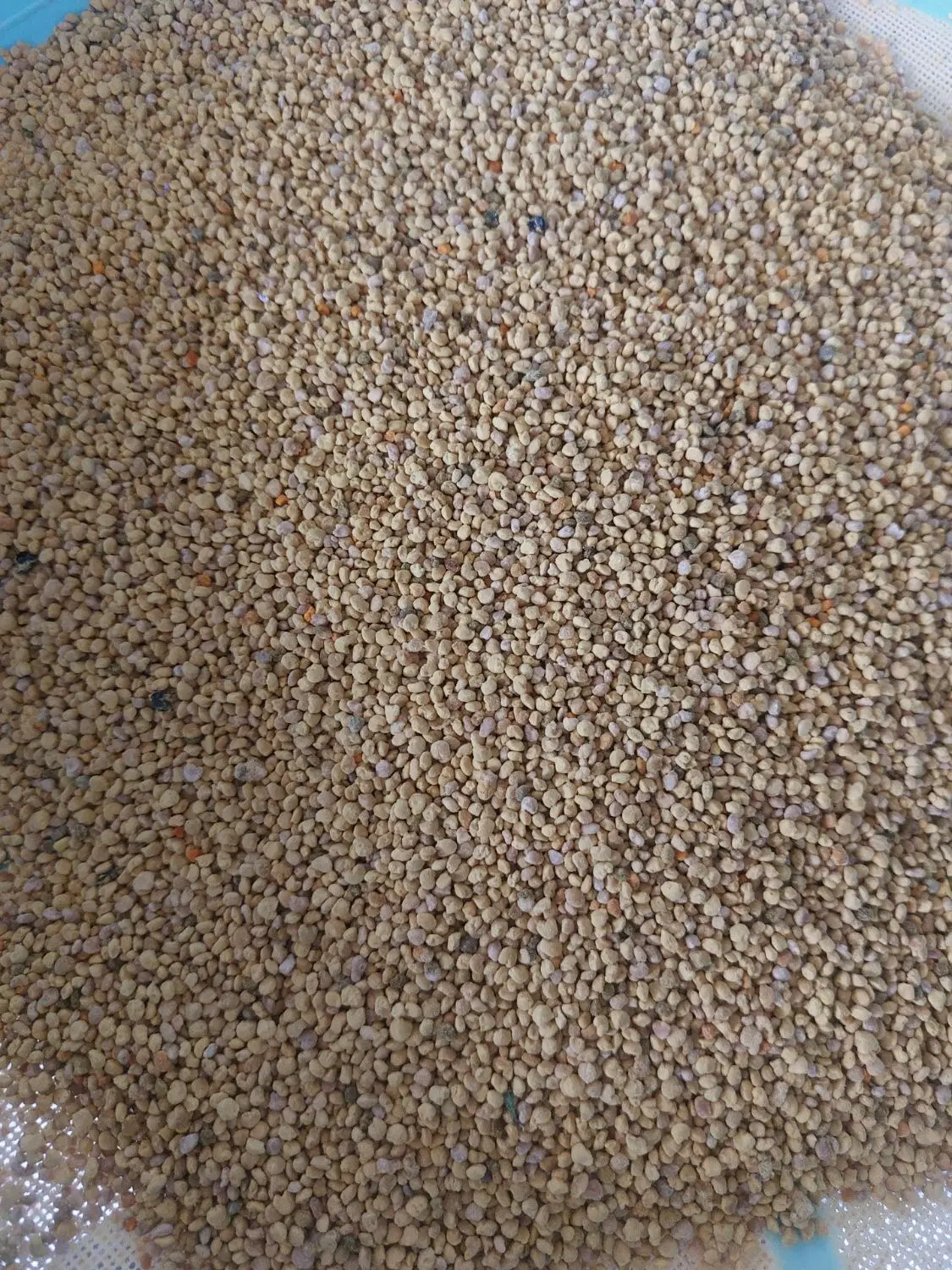 گرده گل|خوردنی و آشامیدنی|سقز, |دیوار