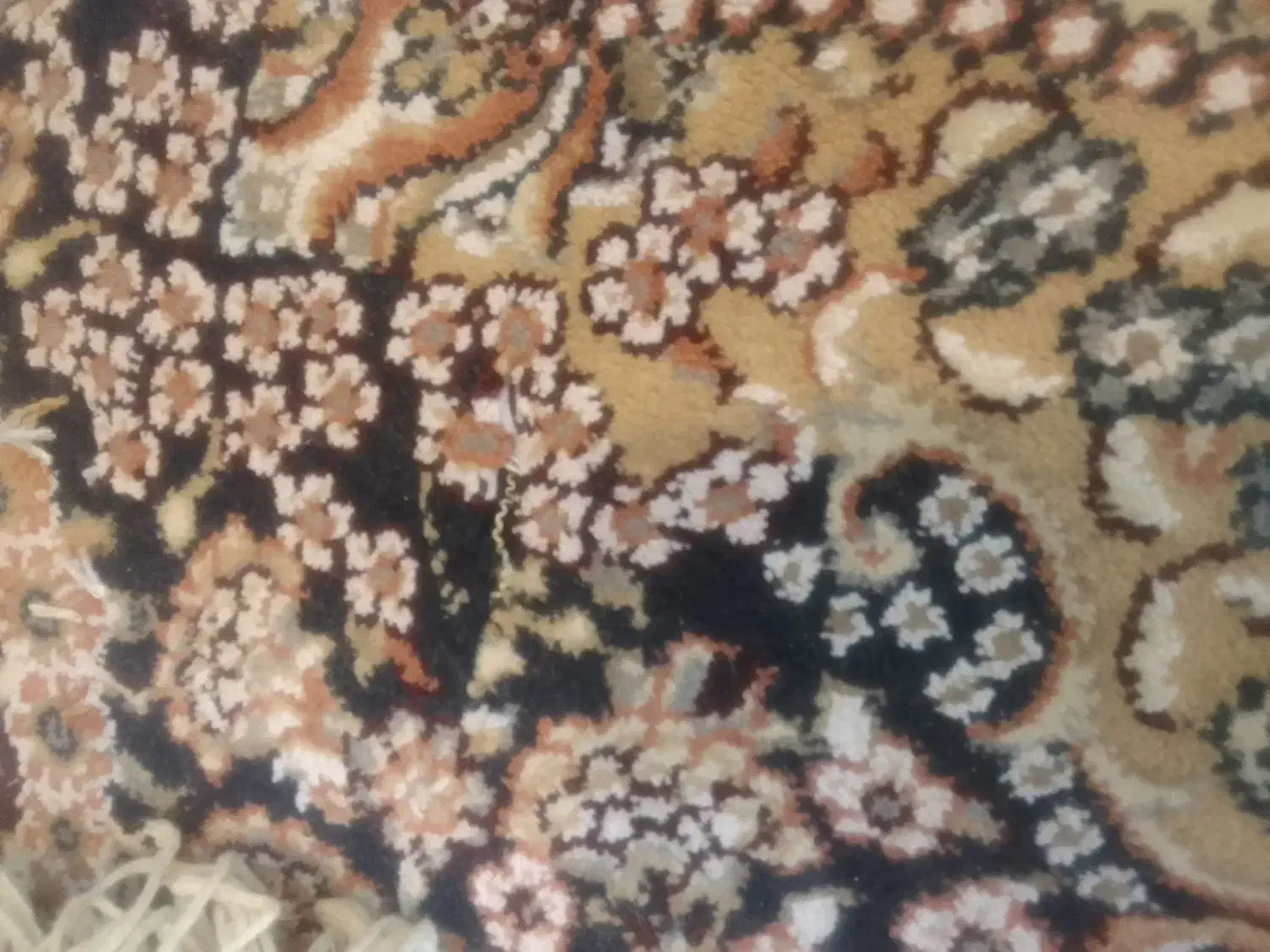 فرش|فرش|لاهیجان, گلستان|دیوار