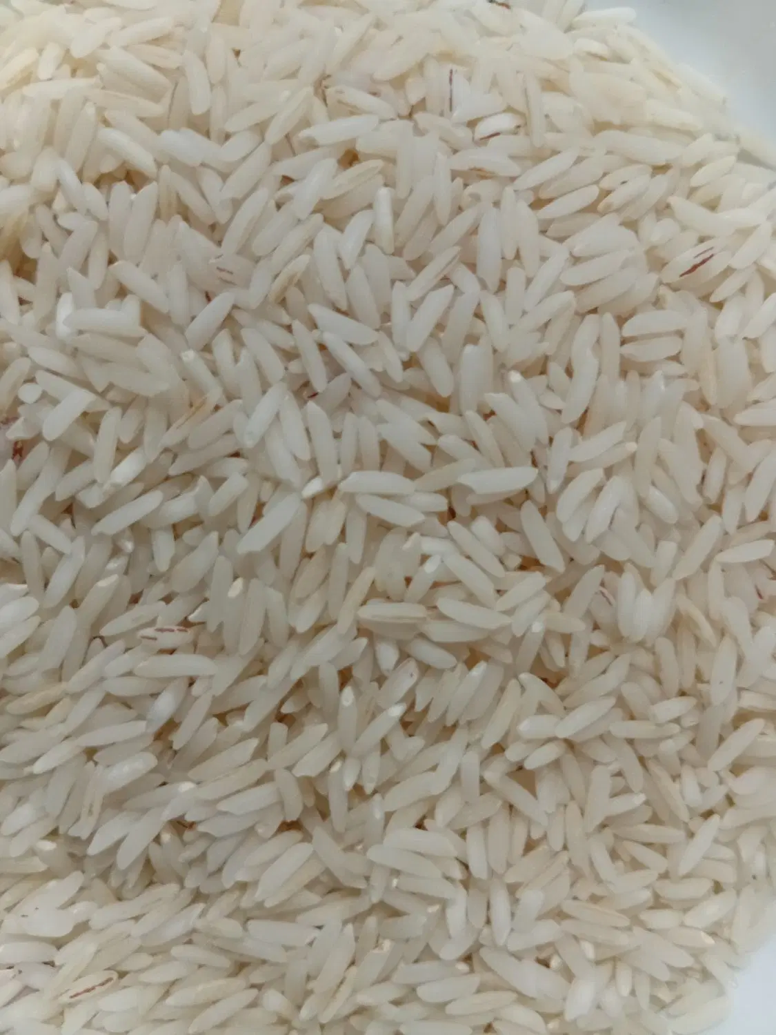 خوراکی|خوردنی و آشامیدنی|صومعهسرا, |دیوار