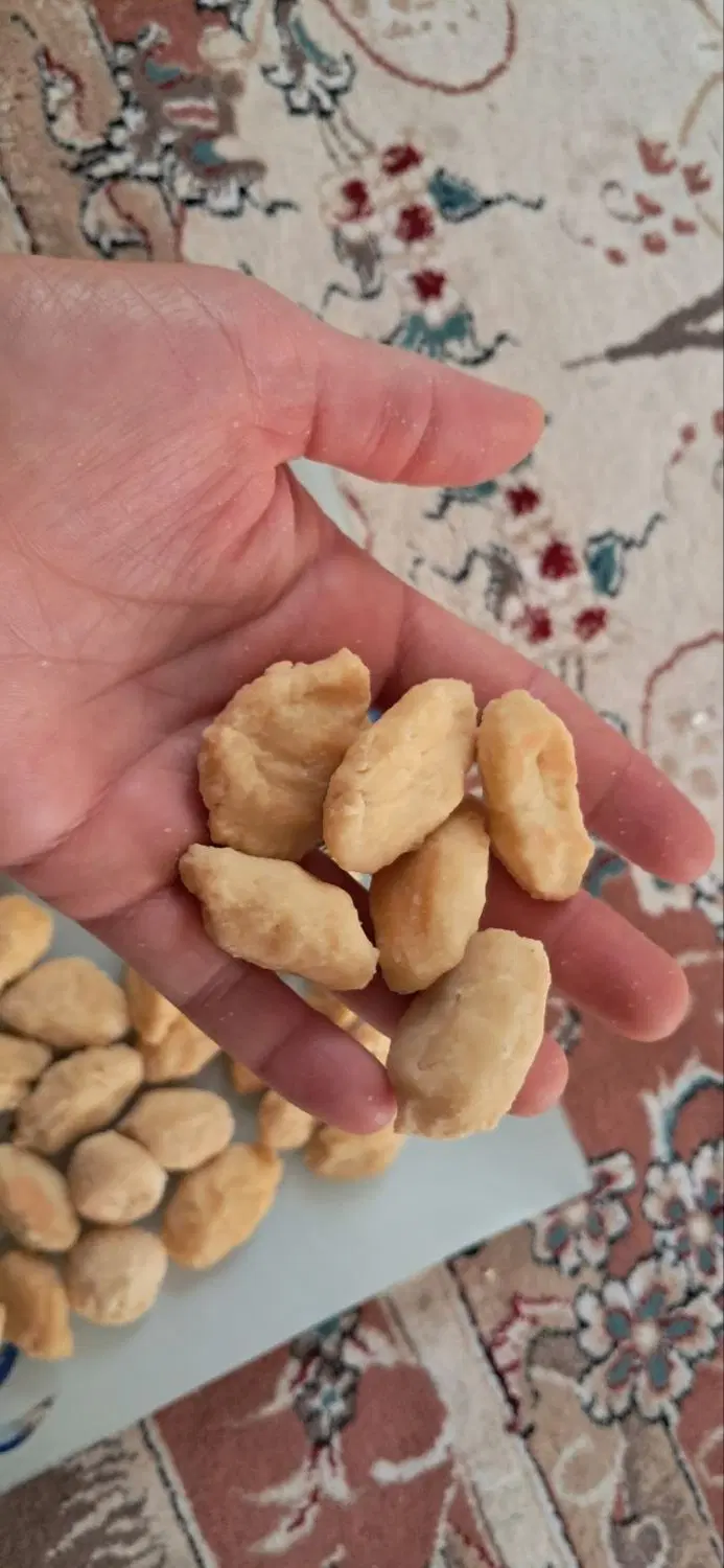 کشک|خوردنی و آشامیدنی|بندرعباس, |دیوار