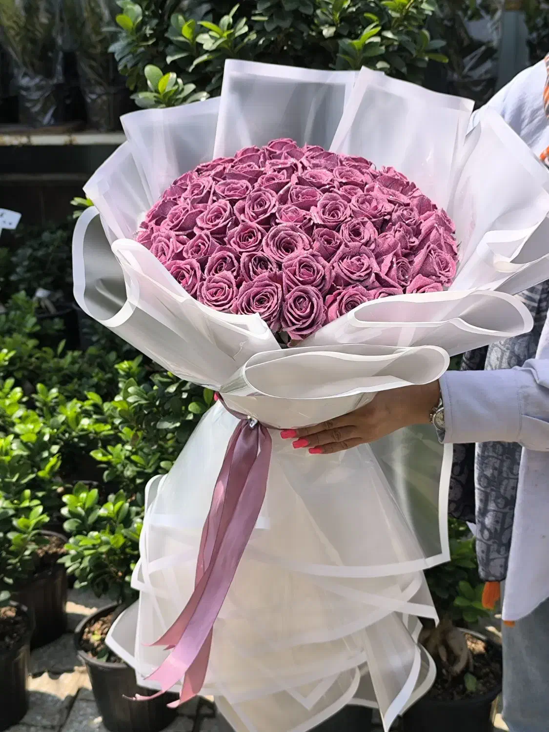 دسته گل|گل و گیاه طبیعی|تهران, آهنگ|دیوار
