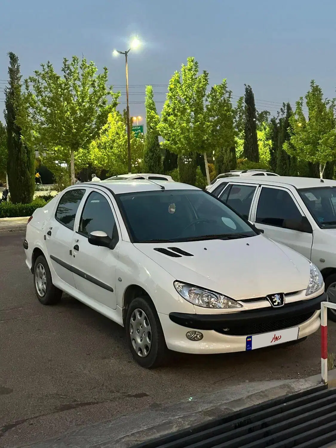 206 sd مدل 94 v8|خودرو سواری و وانت|شیراز, ریشمک|دیوار