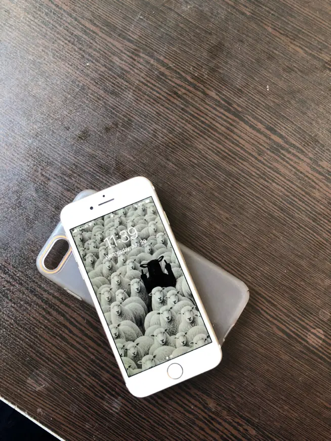 iPhone 7|موبایل|تبریز, |دیوار