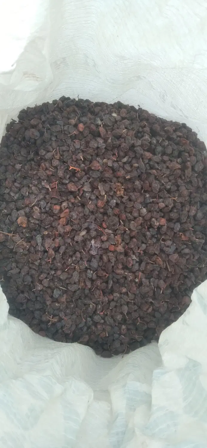 کش مبیز|خوردنی و آشامیدنی|فسا, |دیوار