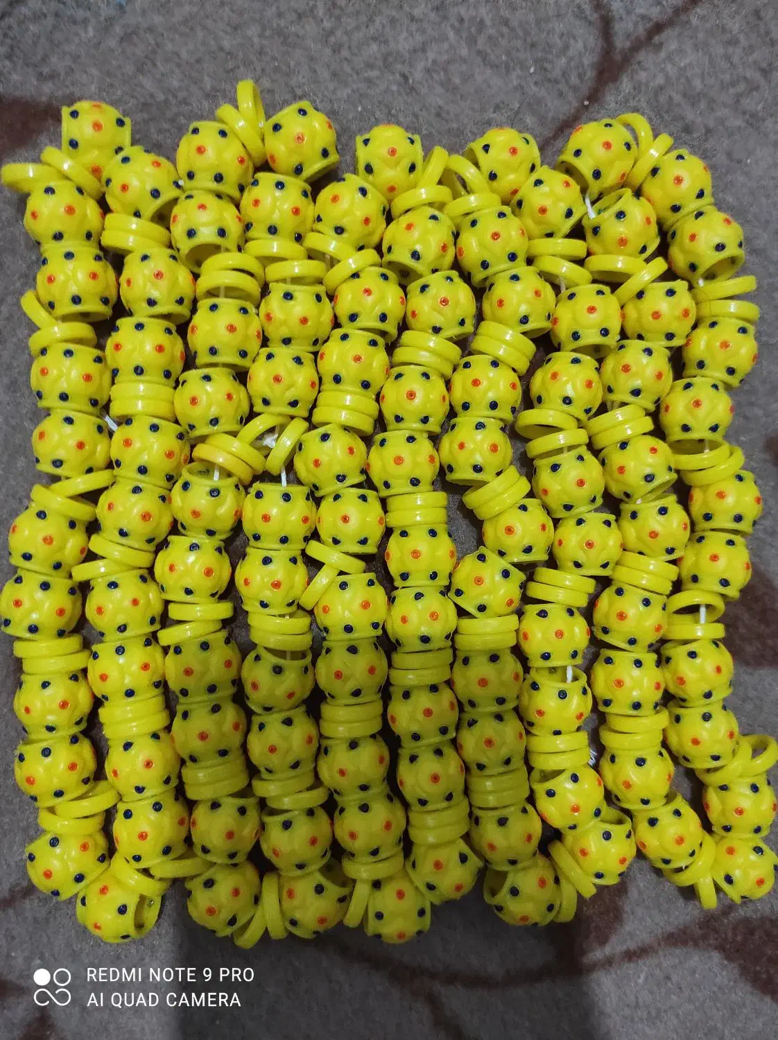 کبوتر قزوین|پرنده|قزوین, |دیوار